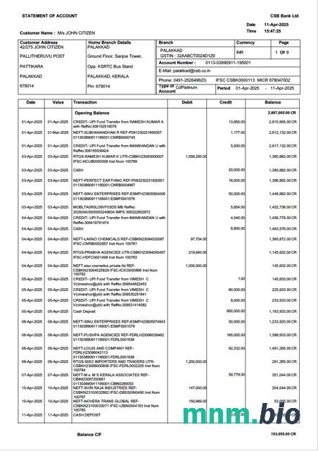 India Bharat Co-operative wyciąg z konta bankowego szablon Worda i PDF